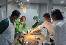 Identitas Kerangka Misterius di Kebun Pisang OKU Selatan Terungkap: Tato di Punggung Jadi Kunci