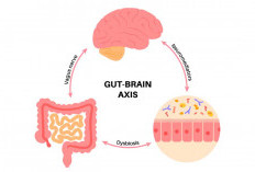 Ortu Wajib Tahu, Jaga Kesehatan Pencernaan Agar Tumbuh Kembang Anak Optimal