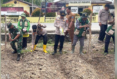 Perawatan dan Pemupukan Dilakukan, Polsek SP Padang Kembali Tanam Jagung