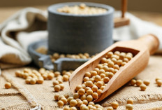 6 Alasan Kacang Kedelai Harus Jadi Sahabat Kesehatanmu, Sayuran Kecil dengan Manfaat Besar untuk Tubuh