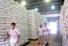 Capaian 299 Hari, Presiden Prabowo: Stok Beras Kita 4,2 Juta Ton, Tertinggi dalam Sejarah 