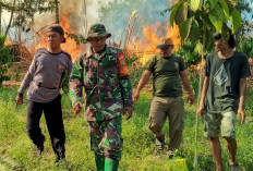 Karhutla Lagi di Empat Lawang, Hanguskan 5 Hektare Kebun Karet dan Sawit, Asap Masih Mengepul dari Gambut OKI