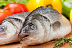 Kamu Suka Belanja Ikan di Pasar? Awas Jangan Sampai Salah PIlih, Ini Tips Mengetahui Ikan Masih Segar!