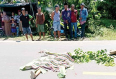 Lindas Pelajar hingga Tewas, Sopir Truk Kabur