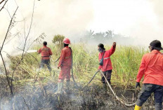 Karhutla 4 Daerah, Di Ogan Ilir Dekat Tol Palindra