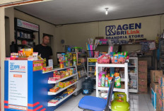 Cara Simpel Miliki Pendapatan Tambahan, Ini Solusi Terbaik dari BRILink