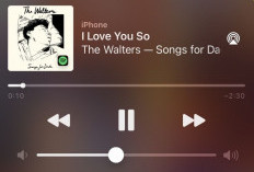 10 Lagu Indonesia Terpopuler Januari 2025