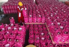 Harga Bright Gas Melejit Gila-Gilaan, Agen di Palembang Kompak Tahan Penjualan!