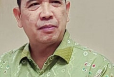 PERADI PROFESIONAL: Paradigma Baru Organisasi Advokat Indonesia 