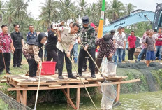 Potensi Ikan Patin Luar Biasa