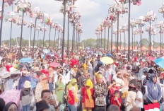 Sukseskan, Panjat Pinang 79 Batang, Digelar 18 Agustus, Event Sumatera Ekspres Meriahkan HUT Kemerdekaan RI