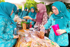 TP PKK OKU Dorong Optimalisasi 10 Program Pokok PKK