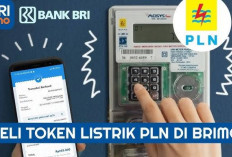 Solusi Cerdas Ibu Rumah Tangga di Empat Lawang: Token Listrik Kini Bisa Dibeli Kapan Saja lewat BRImo