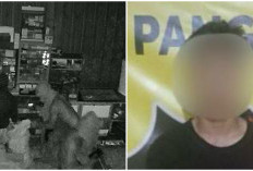 Kecanduan Judi Online, ABG Nekat Bobol Warung, Viral Terekam Kamera CCTV 