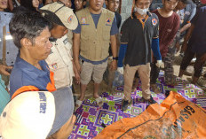 Pilu Tak Terhingga! Korban Serangan Buaya Ditemukan Saat Seharusnya Merayakan Ulang Tahun ke-26