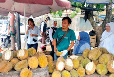 Durian Kiloan Lebih Diminati