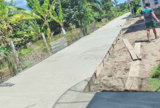 Bangun Infrastruktur Jalan , Desa Mandiri Ternak Sapi, Desa Ngunang