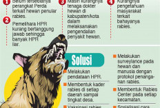 Sumsel Belum Bebas Rabies, HPR Perlu Didata dan Divaksin