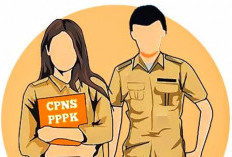 Pendaftaran CPNS dan PPPK 2025 Segera Dibuka, Cek Syarat dan Strategi Suksesnya!