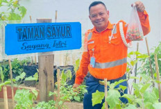 Sulap Lahan Pos Jaga Pelintasan KA Jadi Kebun Mini