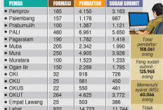 Sudah 19.042 Pendaftar Tak Memenuhi Syarat, Ingatkan Pelamar di Sumsel Jangan Percaya Calo