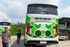 Demand Bus Pariwisata Mulai Membaik, Produsen Siapkan Untuk Musim Nataru 