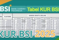 Pinjaman KUR BSI 2025: Plafon, Angsuran, dan Cara Pengajuan