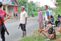 Anjing Gila Mengamuk, 5 Warga Jadi Korban