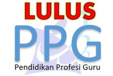 Inilah Jumlah Peserta yang Dinyatakan Lulus UKPPPG Guru Tertentu