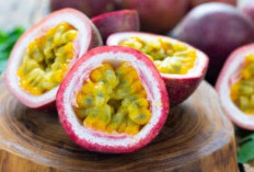 Passion Fruit Paradise: Kamu Lebih Pilih Markisa Ungu atau Kuning, Manis atau Asam?