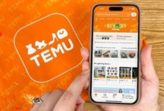 Mengenal Aplikasi Temu: Platform Belanja Langsung dari Pabrik ke Konsumen, Diskon Besar dan Ongkir Gratis