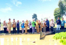 Petani Indralaya Gunakan Bumbung Bambu untuk Kendalikan Hama Penggerek Batang Padi