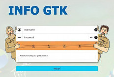 Cara Mengecek Status Tunjangan di INFOGTK dan PTK Datadik