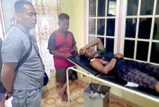 Saling Tembak Buntut Saling Klaim Lahan Plasma Sawit di Areal HGU Perusahaan, Kompak Ngaku Senpi Tak Ada Lagi