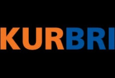 Kiat Jitu Agar Pinjaman Tanpa Jaminan di BRI Cepat Di-ACC: Perhatikan Rekam Jejak Keuangan dan Syarat Administ