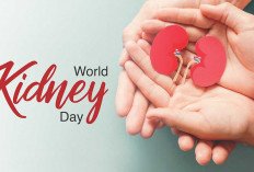 Waspada, Ternyata Darah Tinggi dan Kencing Manis Jadi Penyebab Gagal Ginjal Tertinggi di Indonesia