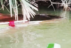 Jenazah Hilang, 3 Penumpang Tewas, Hujan Lebat, Speedboat Tabrak Perahu Ketek di Perairan Tanjung Serai