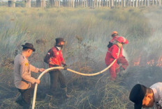 Sudah 305,39 Hektare Lahan Terbakar Akibat Karhutla di Sumsel