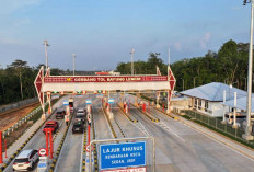 Dari Banyuasin ke Jambi Hanya 2,5 Jam: Tol Betung-Jambi Solusi Kemacetan, Keren Banget Nih!