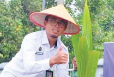 Lapas Kayuagung Tanam Kelapa dan Bagikan Bibit ke Masyarakat