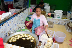 Jejak Sejarah dan Kuliner Kampung Pempek Tanggo Rajo, Ikon Khas Kecamatan Seberang Ulu 1