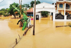 Banjir Kiriman OKU Terjang Wilayah OI, Rendam 495 Rumah di 4 Desa