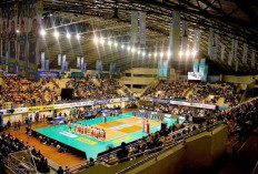 Catat Tanggalnya ! Grand Final PLN Mobile Proliga 2025 Segera Digelar di Yogyakarta