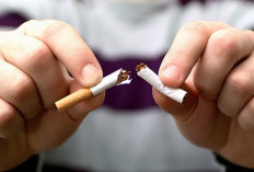 Mau Berhenti Merokok? Lakukan Mulai dari Hal-Hal yang Kecil, Terapkan 5 Cara Ini