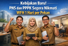 Siap-siap! Sistem Kerja PNS PPPK Berubah dengan Kebijakan WFH 1 Hari per Pekan, Ini Penjelasannya