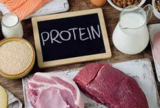 Yuk, Kenali 7 Tanda Kekurangan Protein yang Mungkin Anda Alami, Awas Biss Pengaruhi Mood dan Berat Badan Loh!