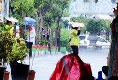 Ramalan Cuaca Sumatera Selatan Besok 1 November 2023, 6 Wilayah ini Harus Waspadai Hujan dan Angin Kencang
