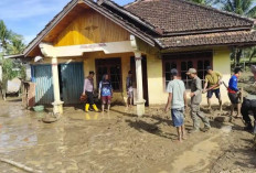 35 Hektare Sawah Puso dan Puluhan Rumah Terdampak Banjir Bandang