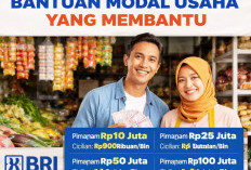 Tabel KUR BRI Mei 2026, Solusi Modal Usaha bagi UMKM untuk Berkembang Lebih Cepat