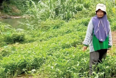 Pemdes Pusar Serap Aspirasi Ketahanan Pangan, Dorong Peran Bumdes sebagai Pengelola Program